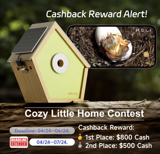 Cozy Little Home Contest