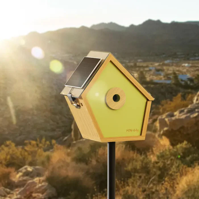 Birddy Solar Panel