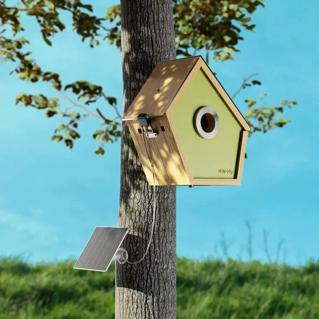 Birddy Smart Bird House - Reli Technologies