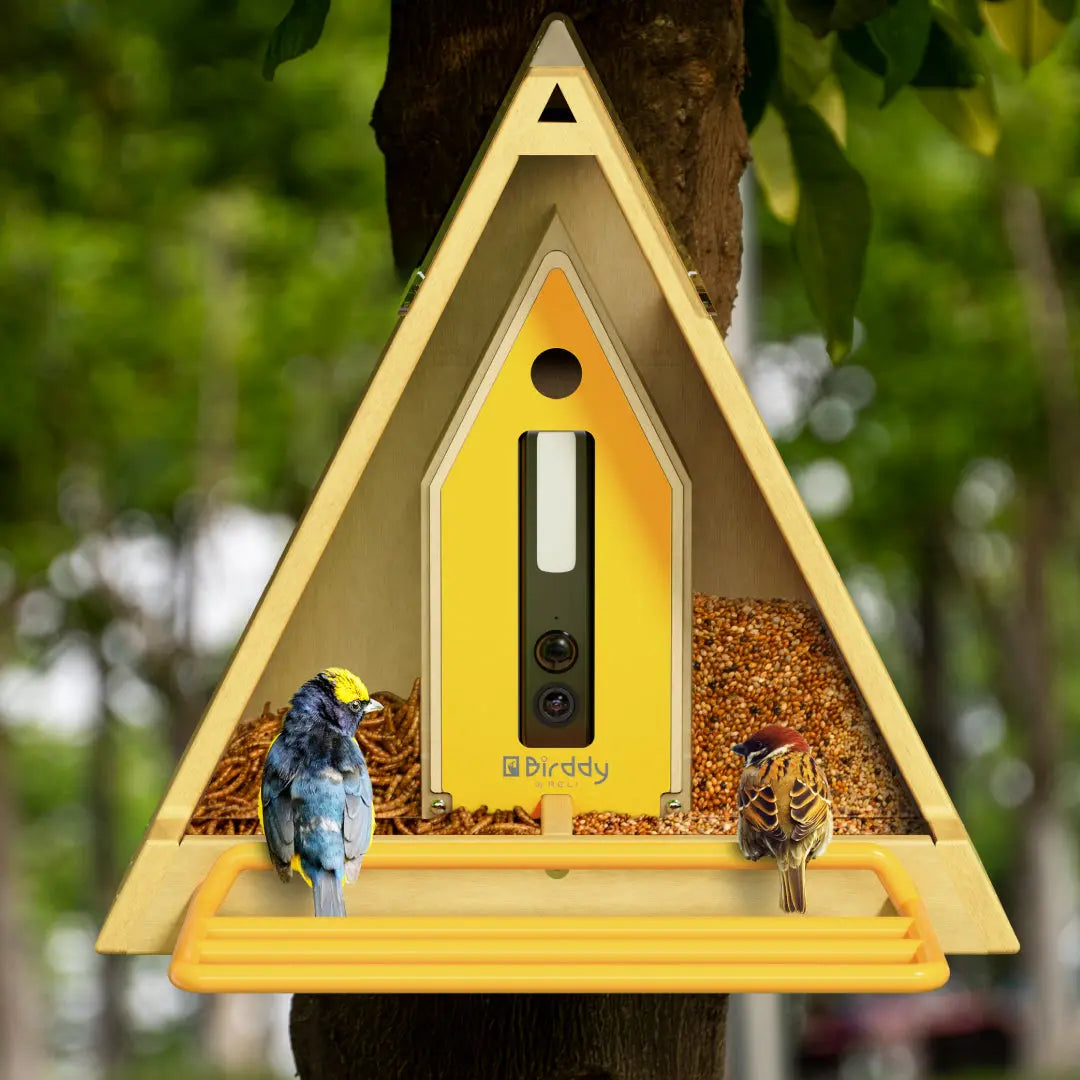 Reli Birddy Smart Feeder GreenTough™ (Pre Order) Reli Technologies