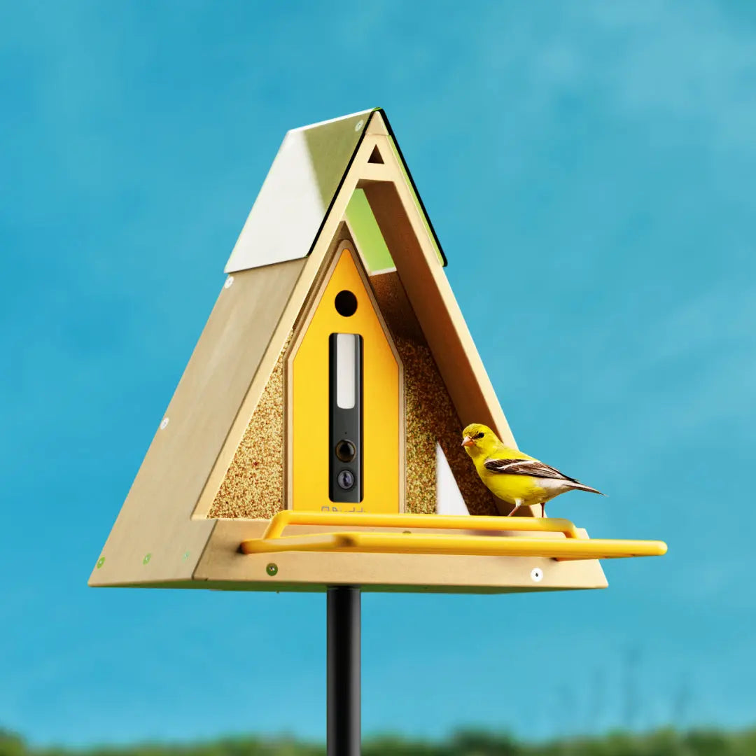 Reli Birddy Smart Feeder GreenTough™ (Pre Order) Reli Technologies