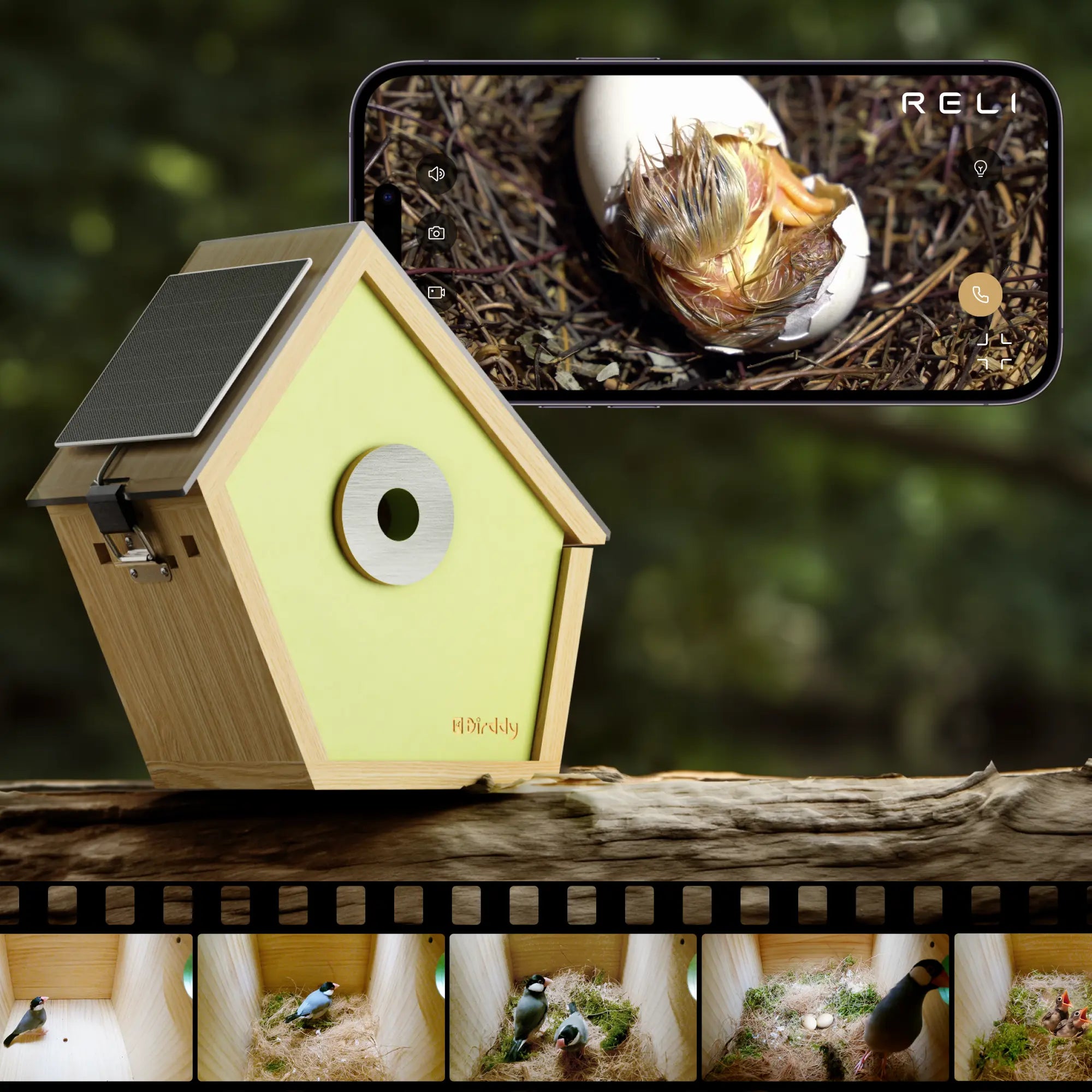 Reli Birddy Smart Bird House Reli Technologies