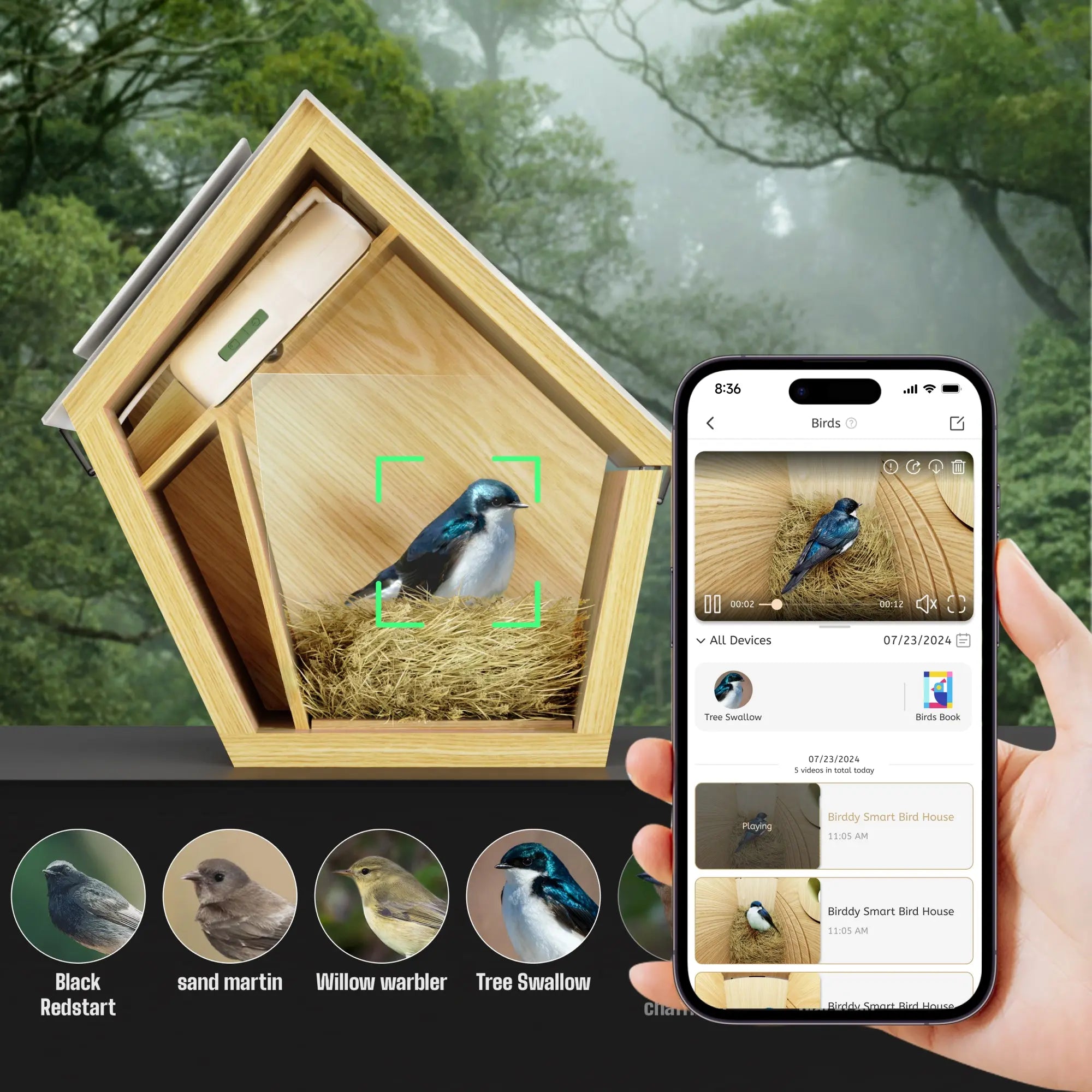 Reli Birddy Smart Bird House Reli Technologies